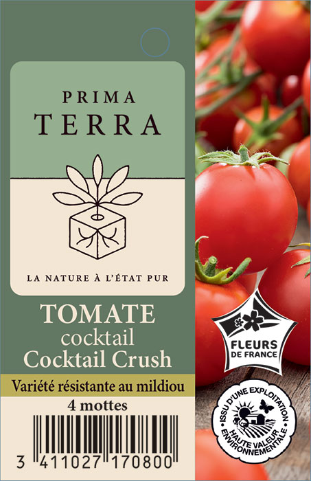 Tomate Cocktail Crush