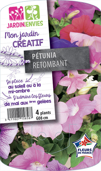 Pétunia Retombant