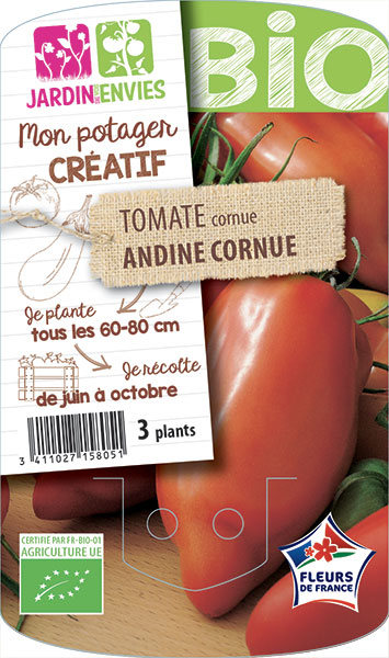 Tomate cornue Andine Cornue