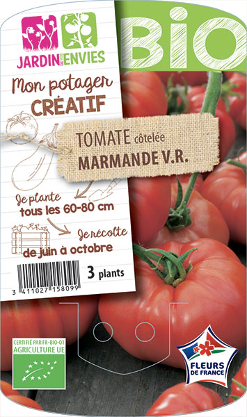 Tomate côtelée Marmande V.R.