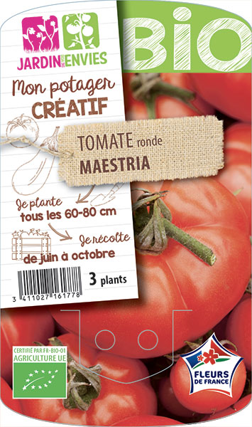 Tomate ronde Maestria