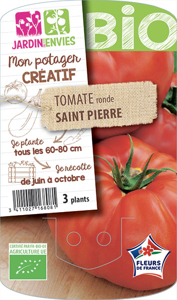 Tomate ronde Saint Pierre