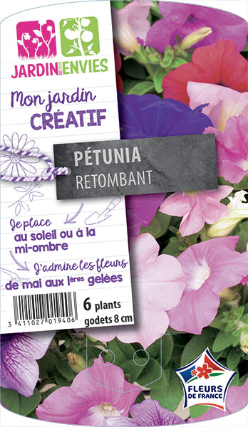 Pétunia retombant