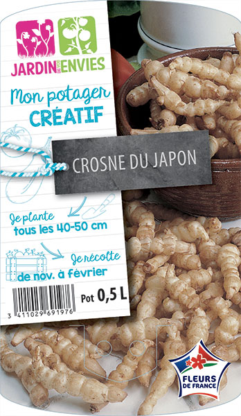 CROSNE DU JAPON
