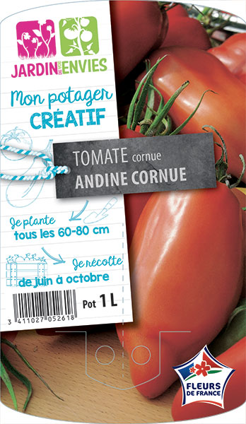 Tomate cornue Andine Cornue