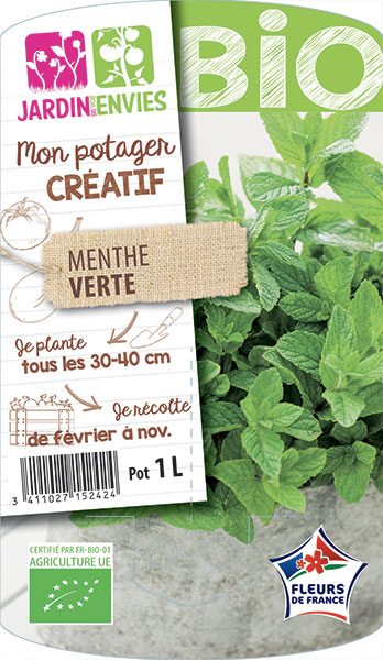 Menthe Verte