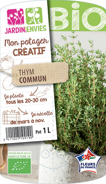 Thym commun