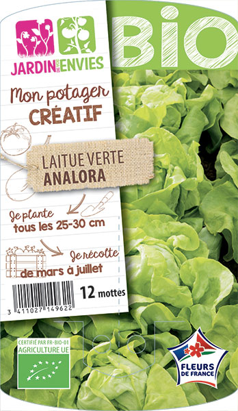 Laitue verte Analora