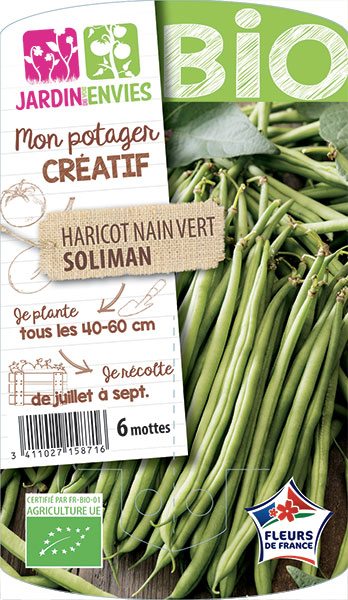 Haricot nain vert Soliman