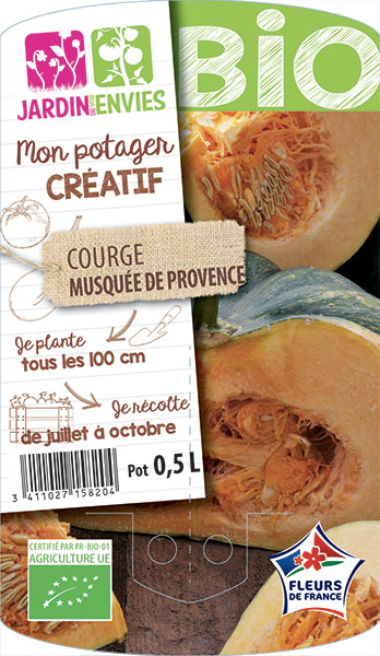 Courge Musquée de Provence