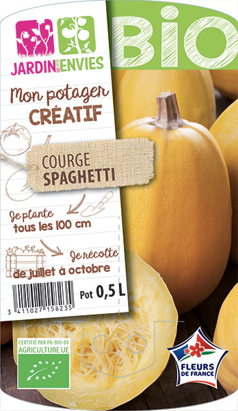 Courge Spaghetti