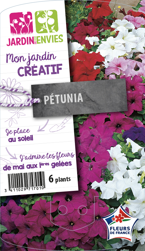 Pétunia