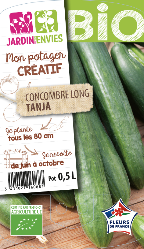 Concombre long Tanja