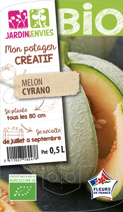 Melon Cyrano