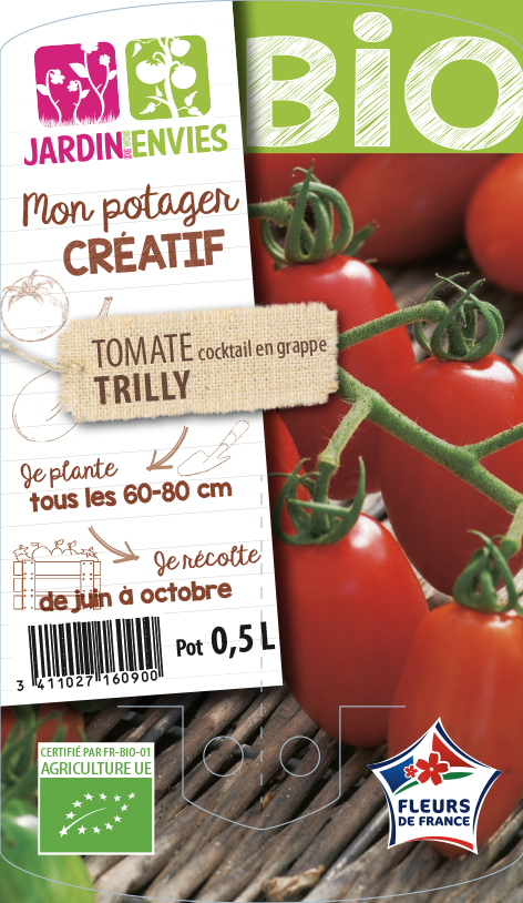 Tomate cocktail en grappe Trilly