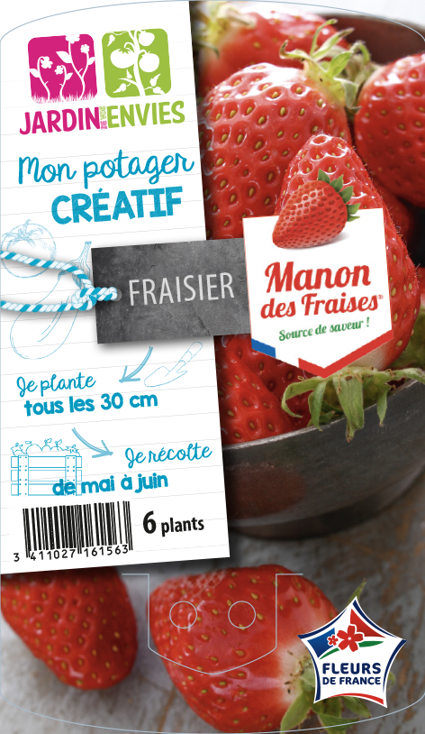 Fraisier Manon des Fraises®