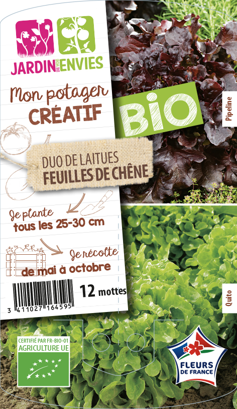 Duo de Laitues Feuilles de Chêne