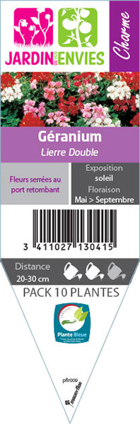 GERANIUM LIERRE DOUBLE
