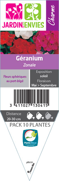 GERANIUM ZONALE